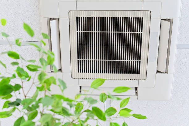 Best Affordable HVAC Duct Cleaning  in Juno Beach, FL